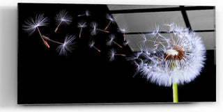 Epic Graffiti "Flying Dandelion" on High Gloss Acrylic Wall Art, 48" x 24"