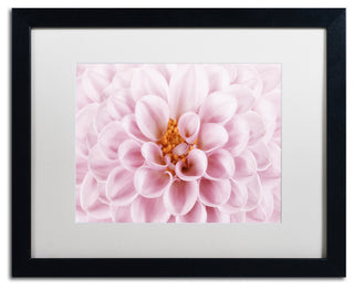 Cora Niele 'Pink Dahlia' Matted Framed Art