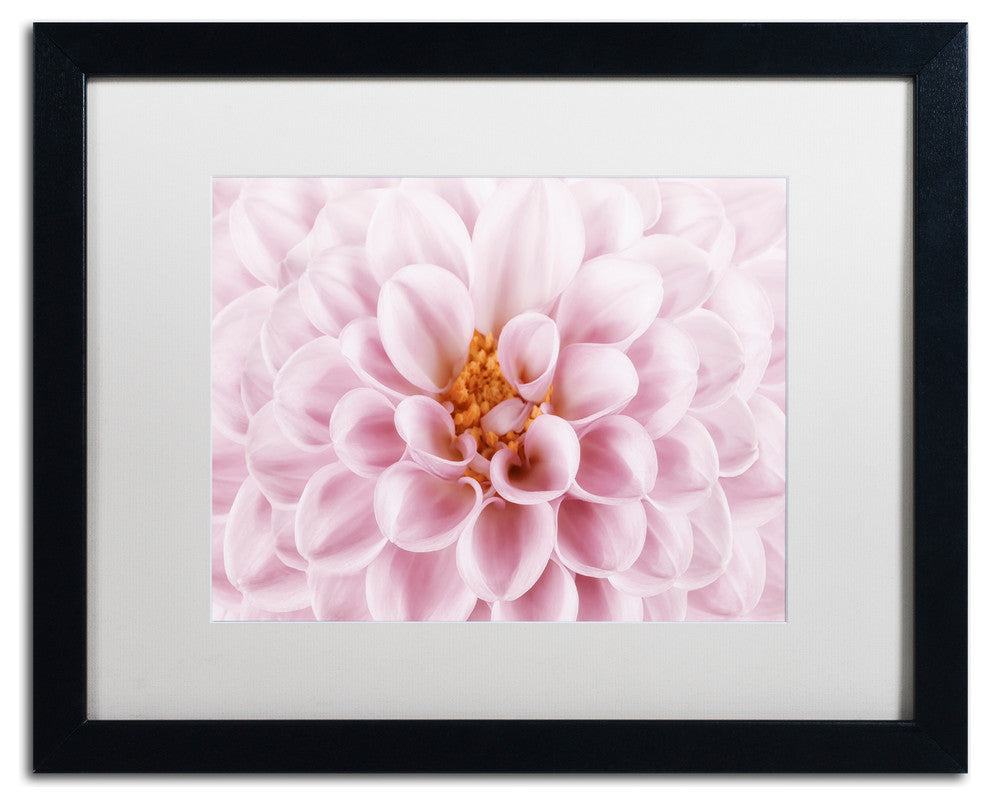 Cora Niele 'Pink Dahlia' Matted Framed Art