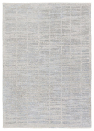 Dounia Striped Light Gray/ Blue Area Rug 9'X12'