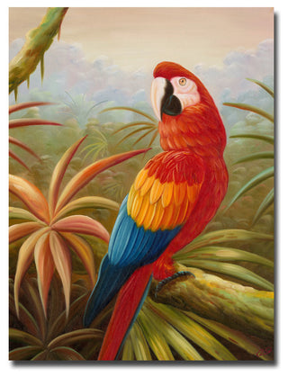 'Amazon Rain Forest' Canvas Art by Rio