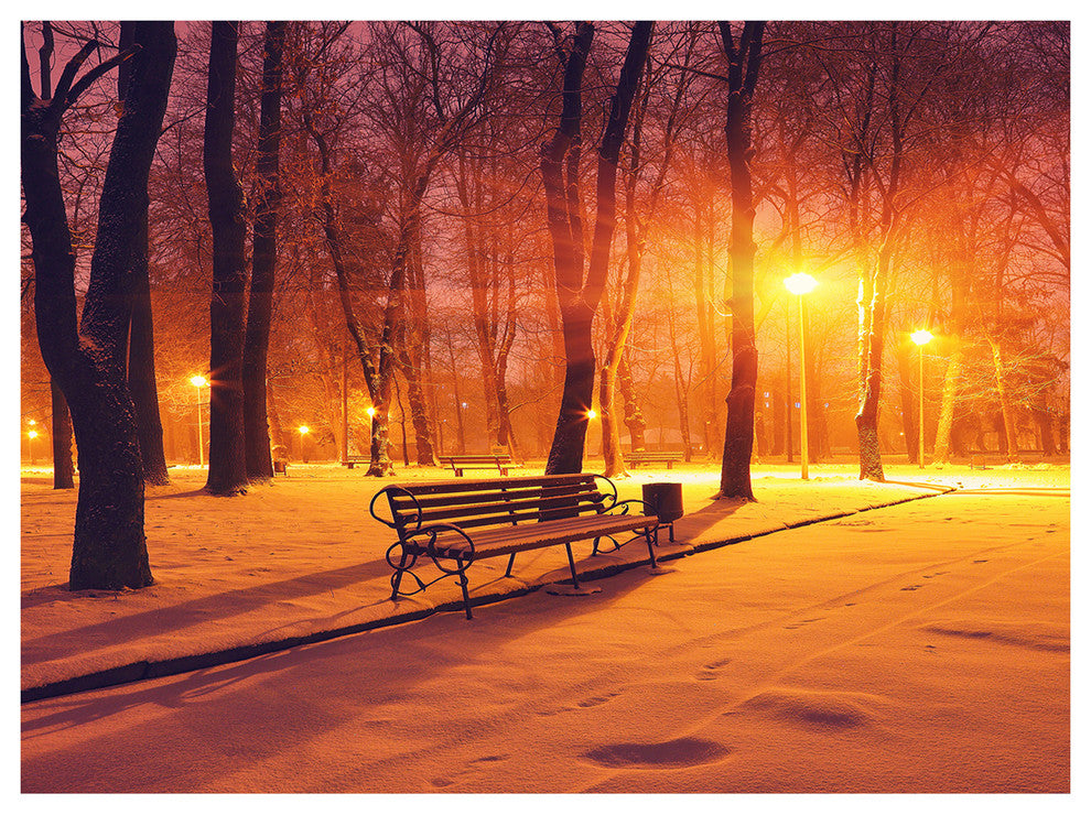 Benches Covered in Winter Snow, Landscape Canvas Art Print, 40"x30"