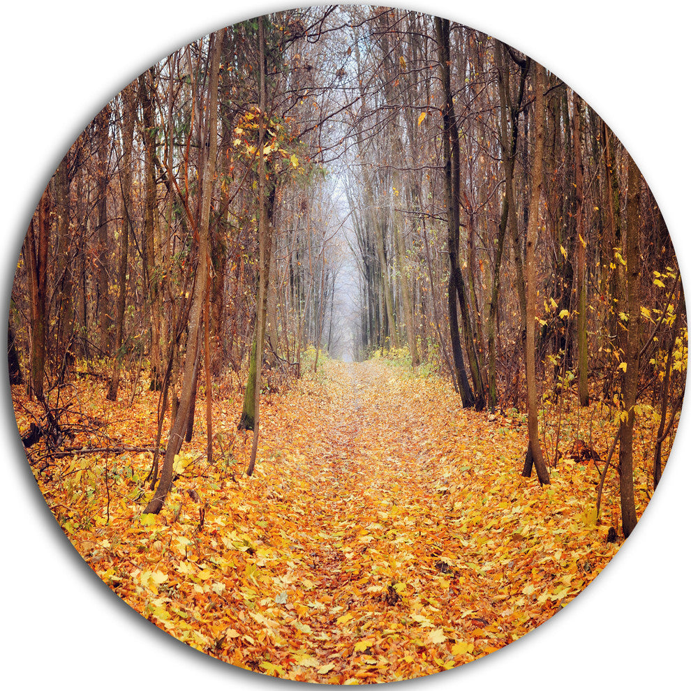 Yellow Fallen Leaves In Morning, Landscape Photo Round Wall Art, 11"