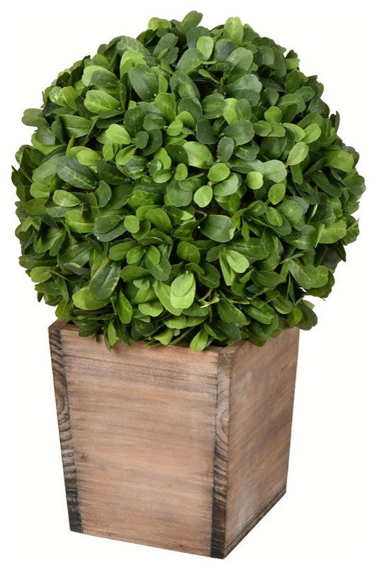 Vickerman FG191316 16" Artificial Potted Boxwood Ball in Wooden Pot