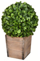 Vickerman FG191316 16" Artificial Potted Boxwood Ball in Wooden Pot