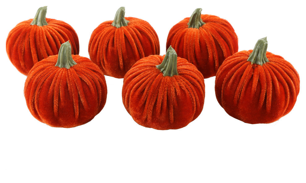 S/6 Orange Velvet Pumpkins In Box(Sm)