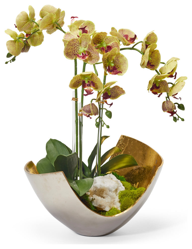 Orchids in Mixed Metal Scoop, Green With Geode