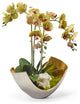 Orchids in Mixed Metal Scoop, Green With Geode