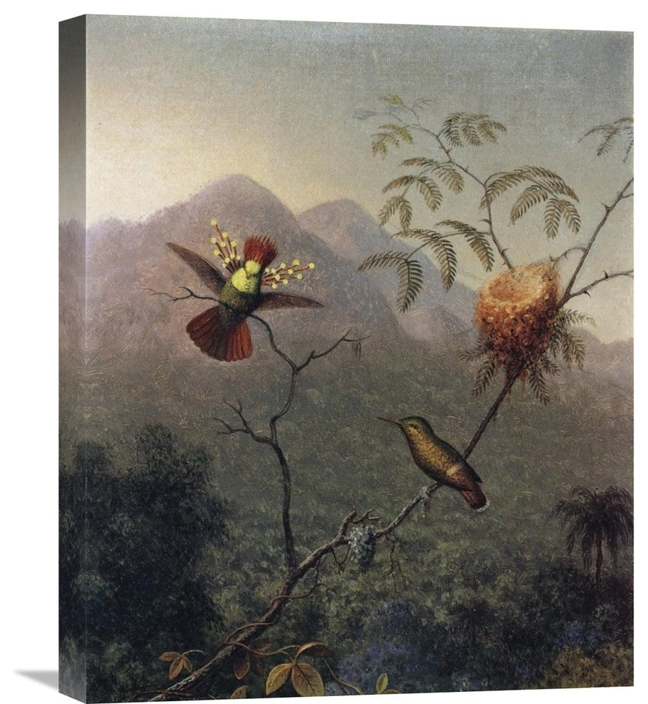 "Tufted Coquette" Stretched Canvas Giclee by Martin Johnson Heade, 18"x22"