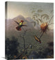 "Tufted Coquette" Stretched Canvas Giclee by Martin Johnson Heade, 18"x22"