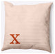 20" x 20" Modern Monogram Indoor/Outdoor Polyester Throw Pillow, Sienna