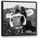 Cow Close-Up Wall Art, 30"x30", Floating Frame Canvas