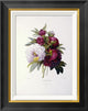 "Peonies" Framed Canvas Giclee by Pierre Joseph Redoute, 18"x22"