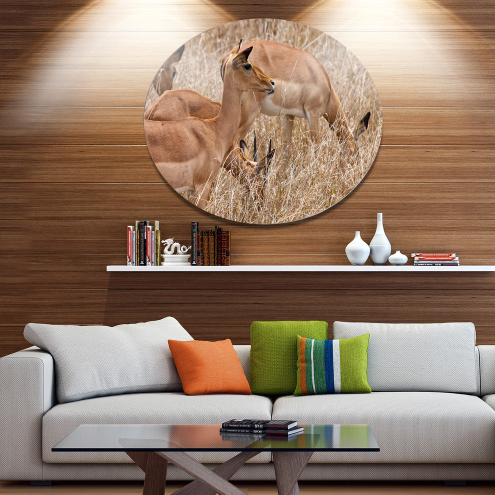 Grants Gazelles Grazing In Grassland, Animal Disc Metal Wall Art, 36"
