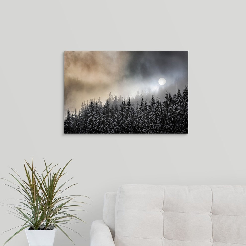 "Winter Sun" Wrapped Canvas Art Print, 24"x16"x1.5"