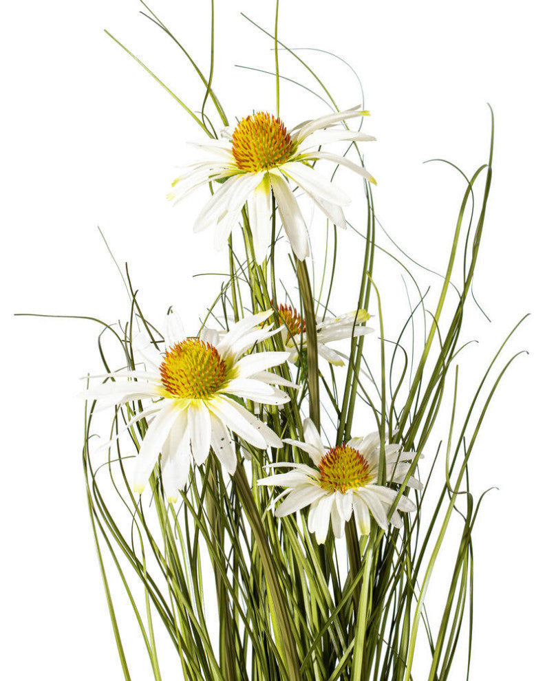 Vickerman Daisy Grass In Iron Pot, Unlit, 24"