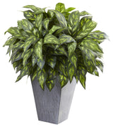 Silver King With Slate Planter
