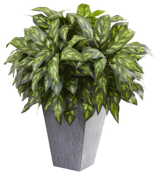 Full product on a uniform white background, front-facing; no text or diagrams; represents the product clearly as the main image.