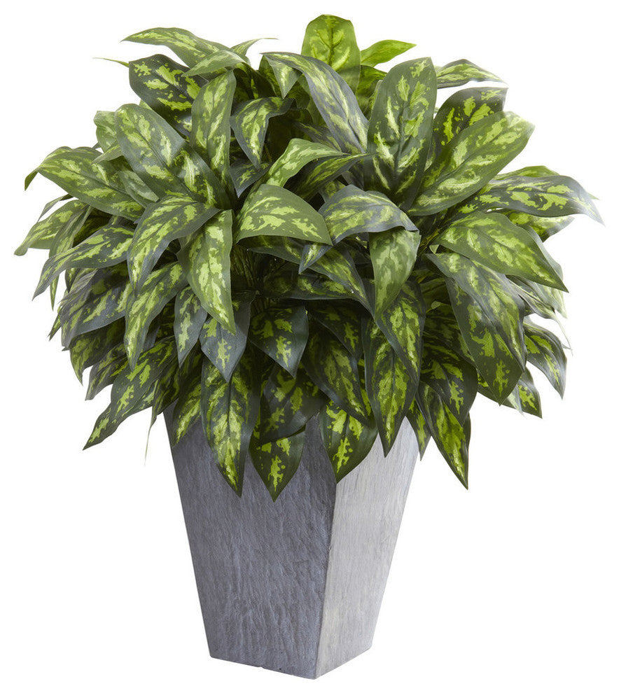 Full product on a uniform white background, front-facing; no text or diagrams; represents the product clearly as the main image.