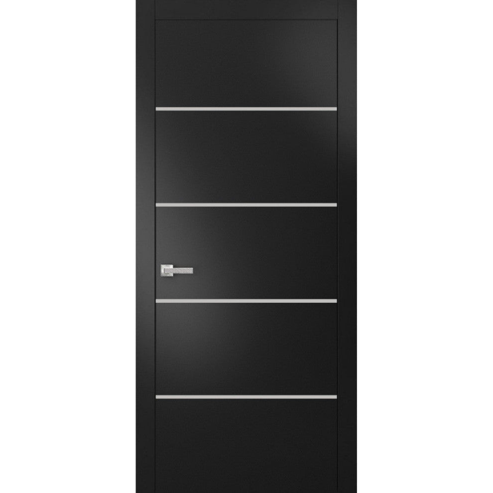 Solid French Door 24 x 80 | Planum 0210 Matte Black with| Bathroom