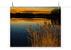 Farmhouse Art Decor: Sunset Reedy Point Landscape Photo Unframed Print, 16" X 20"