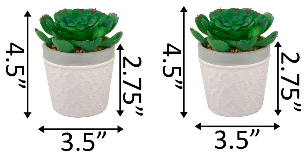 Set Of 2 Succ Wht Dress Icecram Pot