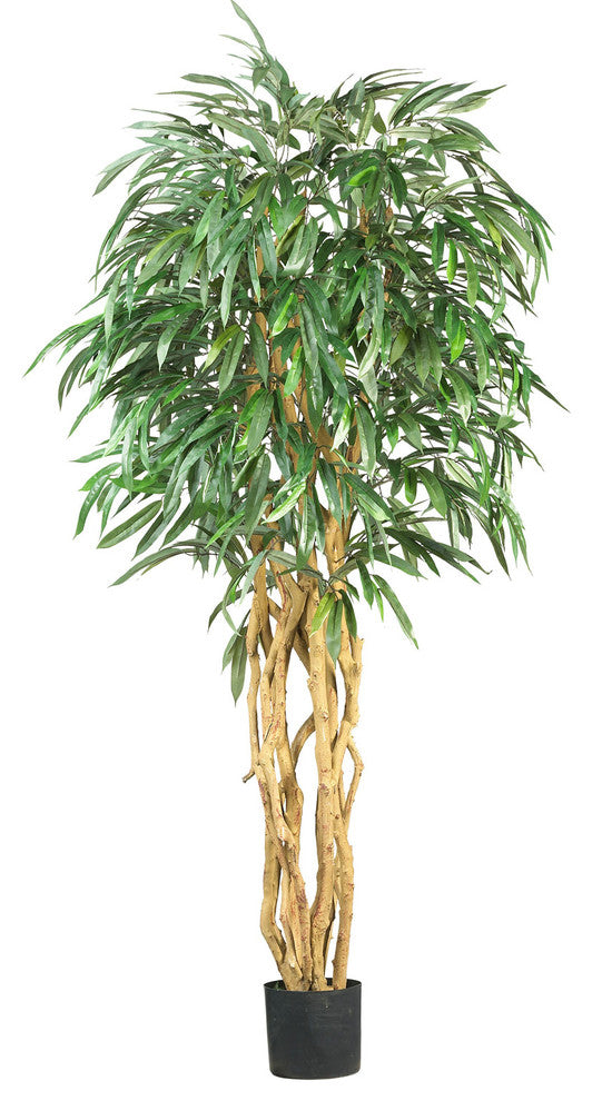 6' Weeping Ficus Silk Tree