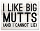 I Like Big Mutts 18x24 Canvas Wall Art