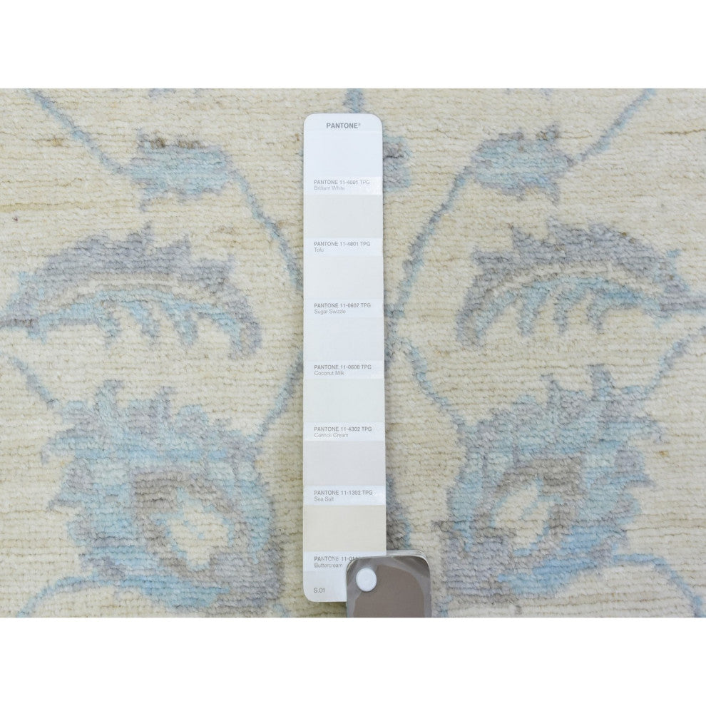 Ivory, Velvety Wool Hand Knotted, White Wash Peshawar Runner Rug, 2'8"x14'4"