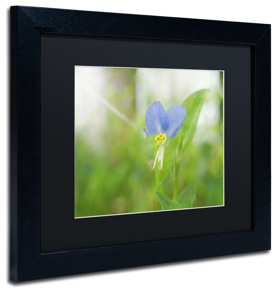 PIPA Fine Art 'Asiatic Dayflower' Matted Framed Art, 14x11