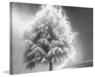 "Enlightened Tree" Painting Print on Canvas