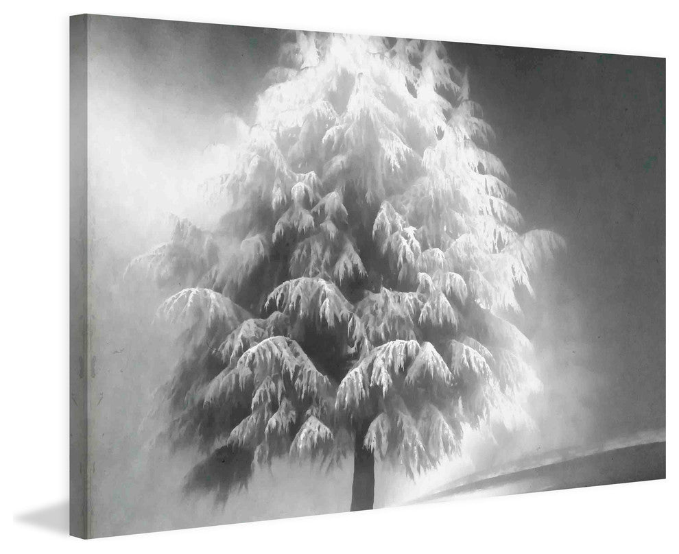 "Enlightened Tree" Painting Print on Canvas