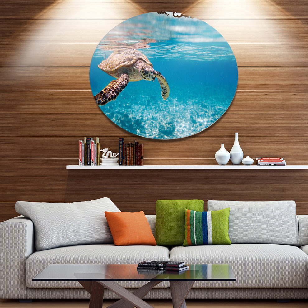 Hawksbill Sea Turtle, Animal Round Wall Art, 23"