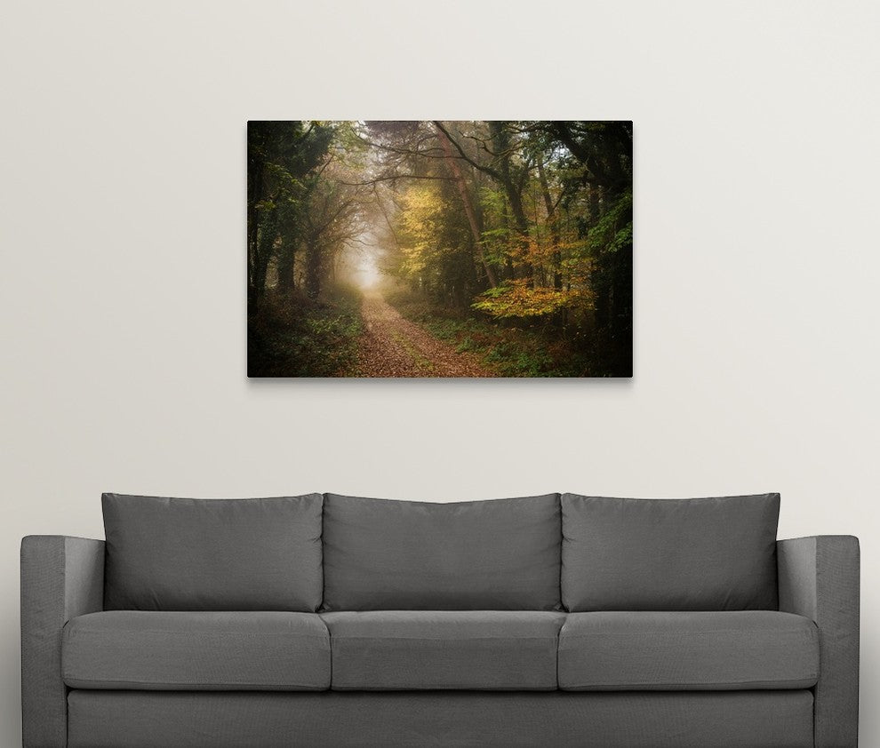 "Path in Autumn Forest" Wrapped Canvas Art Print, 48"x32"x1.5"