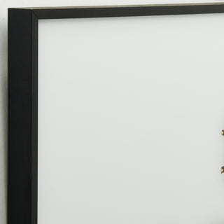 "Crowns" Printed Wall Art Glass Encased With Black Anodized Aluminum Frame
