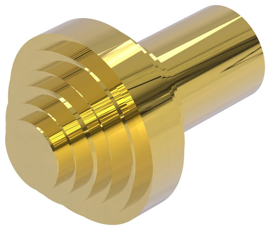 Southbeach 1" Cabinet Knob, Polished Brass