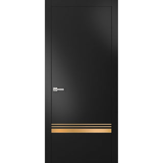Solid French Door 18 x 96 | Planum 2010 Matte Black with| Bathroom
