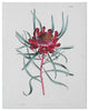 American Art Decor Red Dandelion Floral Canvas Wall Art Print - 11"x14"