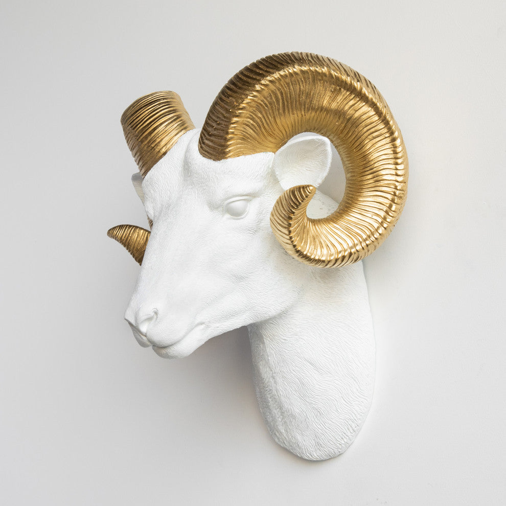 Resin Ram Head Wall Mount, White and Gold
