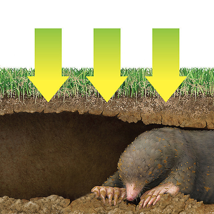 Victor M7001-1 Dual-Action Mole & Gopher Repellent, 4 Lb