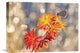 "September Moments" Stretched Canvas Giclee by Vajda Beci, 22x16"