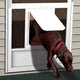 Screen Door Aluminum With Pet Door 80"x36" White