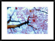 "Heirinji" Framed Digital Print by Kouji Tomihisa, 30x22"