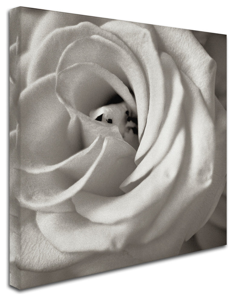 Alan Blaustein ''Florison 43'' Canvas Art, 24x24