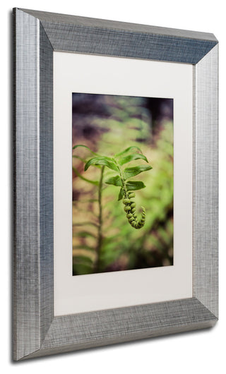 PIPA Fine Art 'Growth of the Forest Floor' Matted Framed Art, 14x11