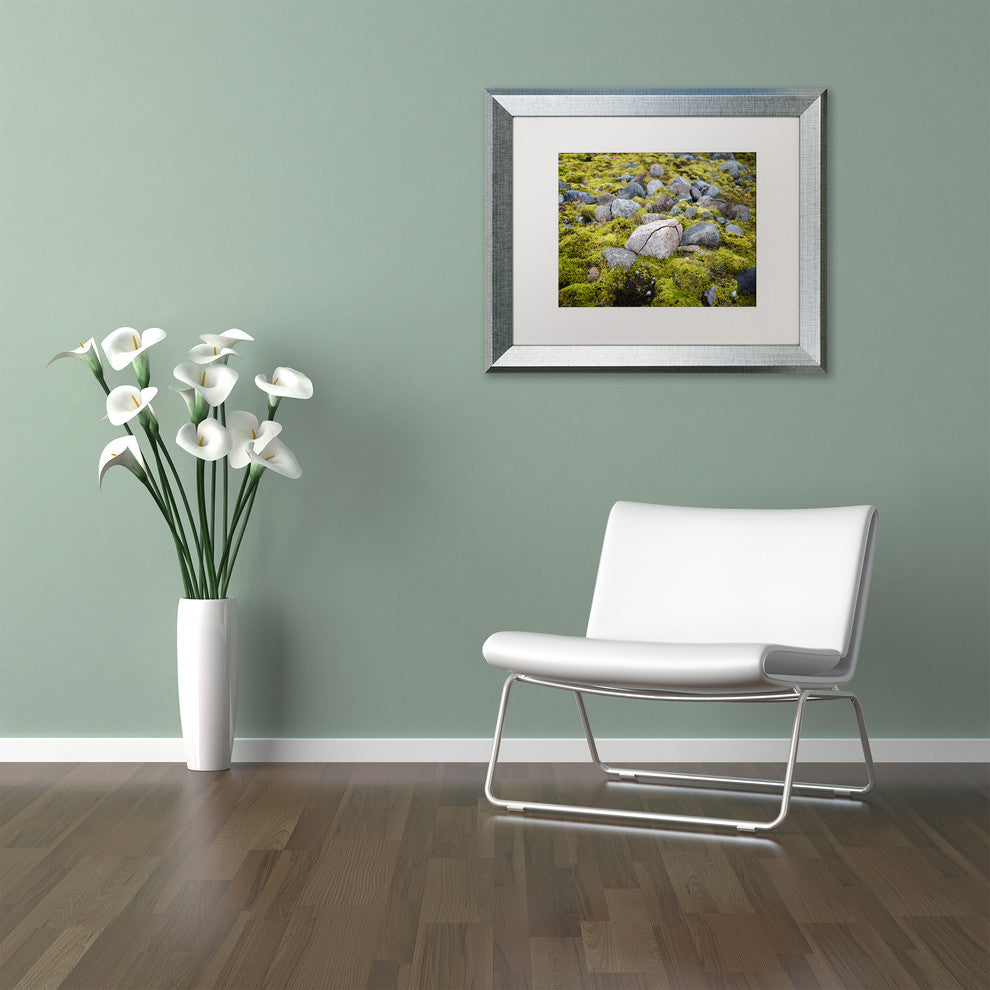 Philippe Sainte-Laudy 'Ancestry' Matted Framed Art