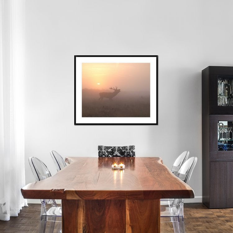"Misty Morning Stag" Framed Digital Print by Greg Morgan, 44x36"