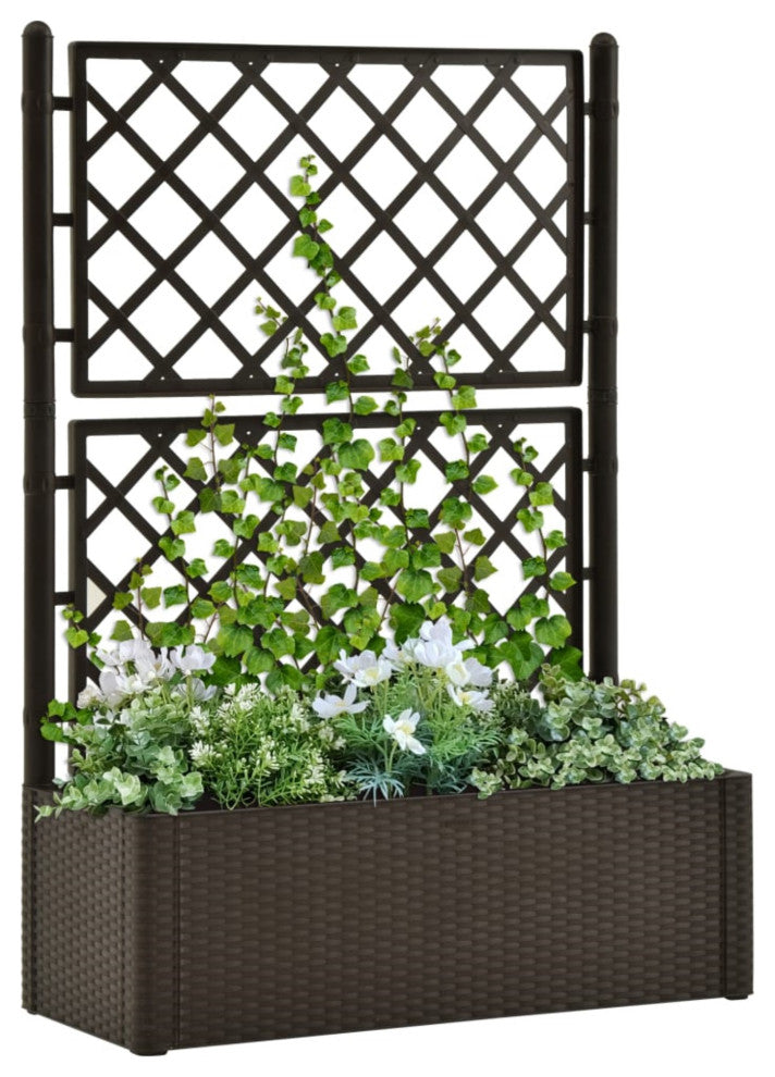 Vidaxl Garden Raised Bed With Trellis And Self Watering System Mocha