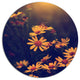 Vintage White Wild Flowers And Bee, Flower Disc Metal Artwork, 38"