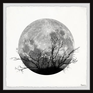 "Forest Moon" Framed Painting Print, 32"x32"